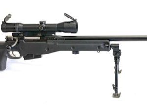 ACCURACY INTERNATIONAL AWP for sale