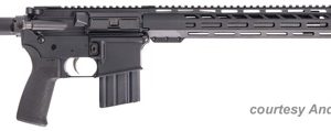 ANDERSON MANUFACTURING AM-15 .450 BUSHMASTER for sale