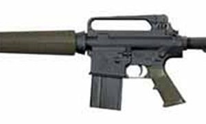 ARMALITE AR-10A2 CARBINE for sale