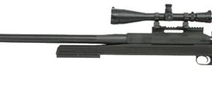 ARMALITE AR-50A1 NATIONAL MATCH for sale