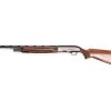 BERETTA AL390 SPORT SPORTING GOLD for sale