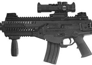 BERETTA ARX 100 for sale