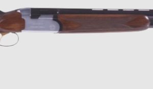 BERETTA SILVER SNIPE for sale