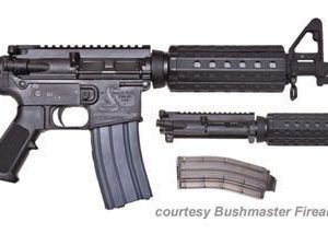 BUSHMASTER CARBON-15 C22 COMBO for sale