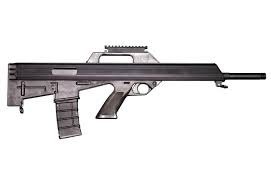 BUSHMASTER M17S BULLPUP for sale