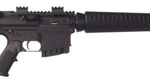 BUSHMASTER XM-10 ORC GEN 1 (ORC .308) for sale