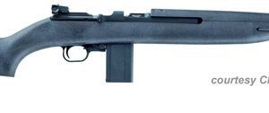 CHIAPPA M1-22 CARBINE for sale