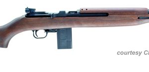 CHIAPPA M1-22 CARBINE for sale