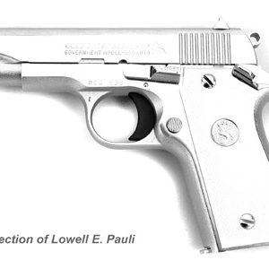 COLT .380 GOVERNMENT MODEL SERIES 80 NICKEL FINISH for sale