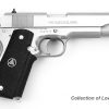 COLT DELTA ELITE STAINLESS STEEL for sale