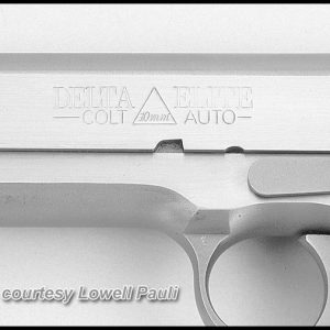 COLT DELTA ELITE STAINLESS STEEL for sale