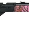 DAISY MODEL 35 POWERLINE PINK CAMO for sale