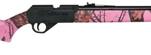 DAISY MODEL 35 POWERLINE PINK CAMO for sale