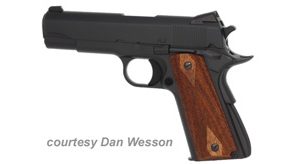 DAN WESSON A2 COMMANDER for sale