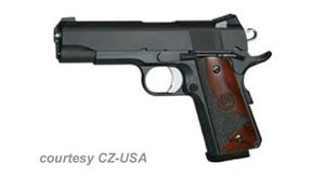 DAN WESSON CCO BOBTAIL for sale