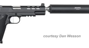 DAN WESSON DISCRETION for sale