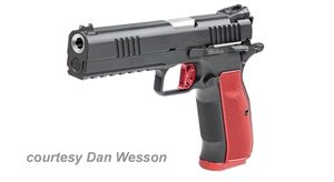 DAN WESSON DWX for sale