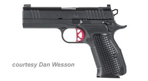 DAN WESSON DWX COMPACT for sale