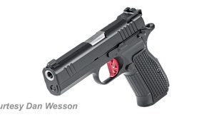 DAN WESSON DWX COMPACT for sale