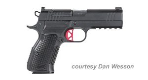 DAN WESSON DWX COMPACT for sale