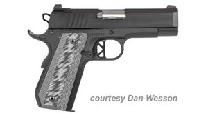 DAN WESSON ECP for sale