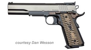 DAN WESSON KODIAK for sale