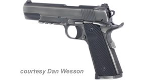 DAN WESSON SPECIALIST DISTRESSED for sale