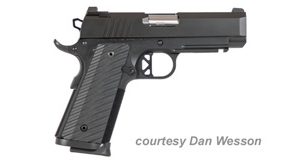 DAN WESSON TCP for sale