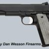 DAN WESSON VALOR for sale