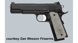 DAN WESSON VALOR for sale