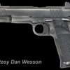 DAN WESSON WRAITH for sale