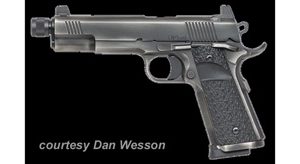 DAN WESSON WRAITH for sale