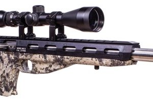 EXCEL ARMS MR-22 TIM WELLS SIGNATURE RIFLE for sale