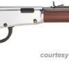 HENRY FRONTIER CARBINE "EVIL ROY" EDITION for sale