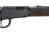 HENRY GARDEN GUN SMOOTHBORE .22 for sale