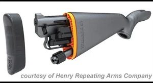 HENRY U.S. SURVIVAL AR-7 for sale