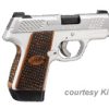 KIMBER EVO SP STAINLESS RAPTOR for sale