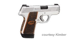 KIMBER EVO SP STAINLESS RAPTOR for sale