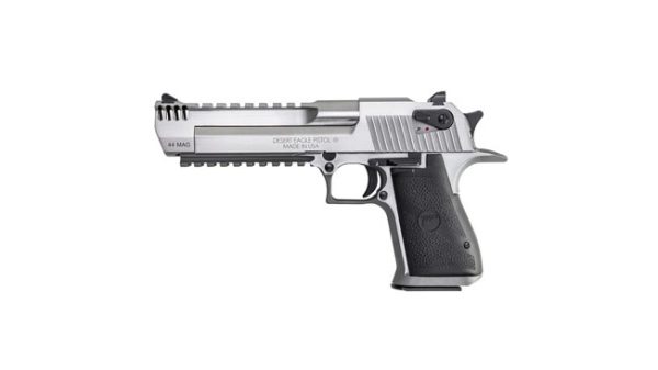 MAGNUM RESEARCH MARK XIX .44 MAG. DESERT EAGLE STAINLESS for sale