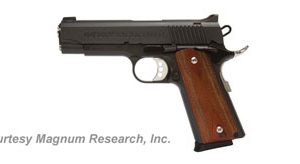 MAGNUM RESEARCH MODEL 1911 DESERT EAGLE for sale