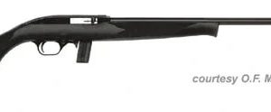 MOSSBERG MODEL 702 PLINKSTER for sale