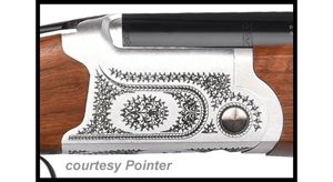 POINTER ARISTA for sale