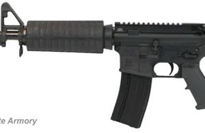 PSA M4 CARBINE 5.56 NATO CHF PREMIUM RIFLE for sale