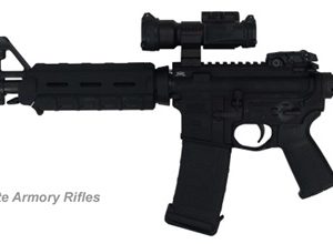 PSA M4 MOE RIFLE WITH VORTEX OPTIC for sale