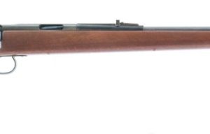 REMINGTON MODEL 592 for sale