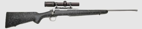 REMINGTON MODEL 700 MOUNTAIN RIFLE STAINLESS for sale