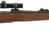 REMINGTON MODEL 700 SAFARI GRADE for sale