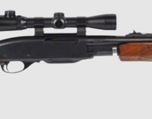 REMINGTON MODEL 760 GAMEMASTER for sale