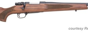 REMINGTON MODEL 799 for sale