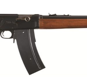 REMINGTON MODEL 81 SPECIAL POLICE for sale